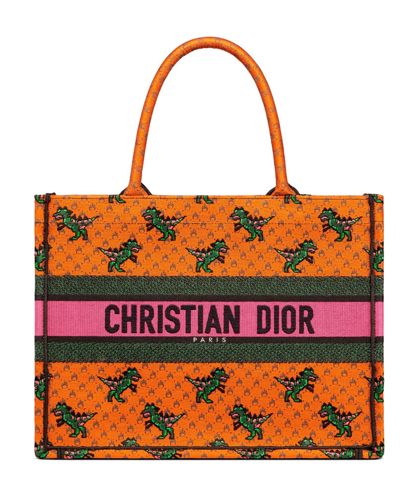 Christian Dior Book Tote Velvet Mizza Embroidery Canvas Orange